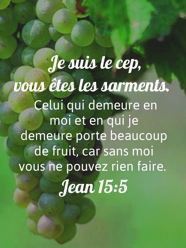 Le Cep et les sarments: L’enseignement de Jésus.